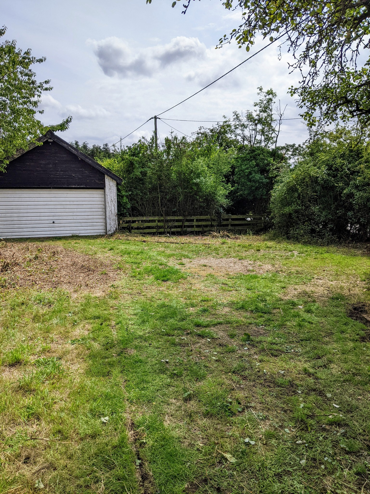 Hedge Trimming - after